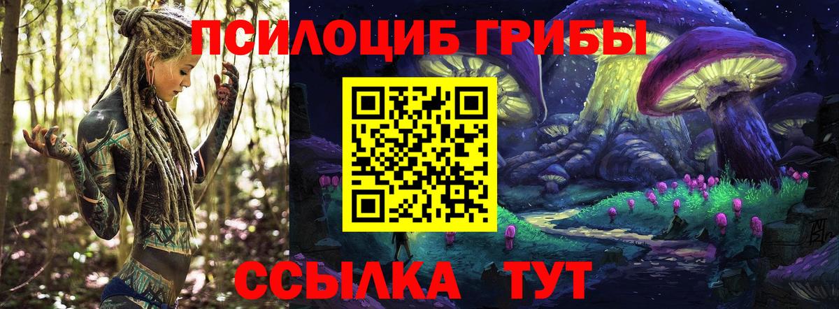 Димитровград  Галлюциногенные грибы мухоморы  Вход с VPN 