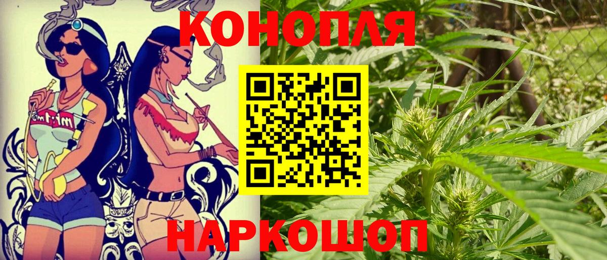 Шишки марихуана планчик Димитровград